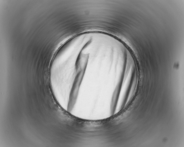 X0000091561145200709141530