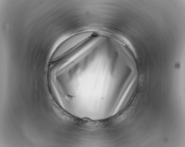 X0000091561146200709141530