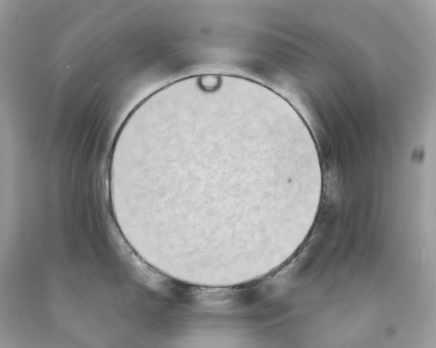 X0000091561150200709141531