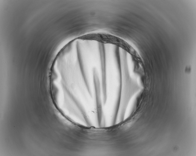 X0000091561151200709141531