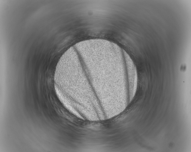 X0000091561154200709141530