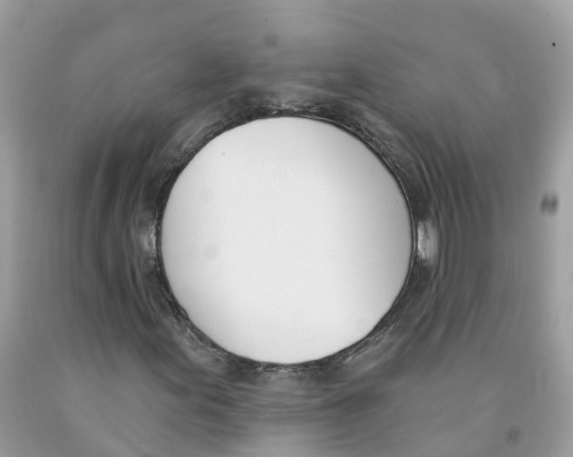 X0000091561155200709141530