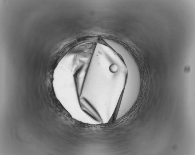 X0000091561157200709141530