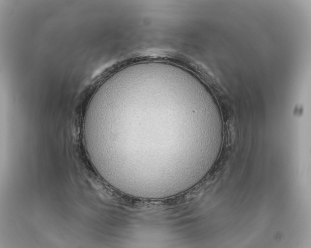 X0000091561158200709141530