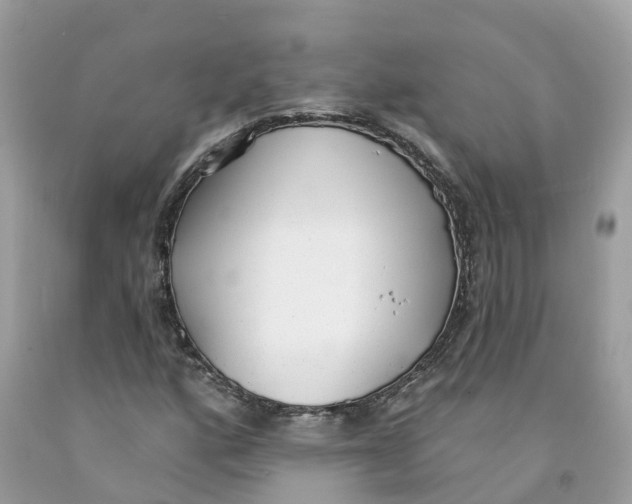 X0000091561160200709141530