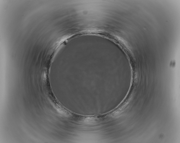 X0000091561161200709141530