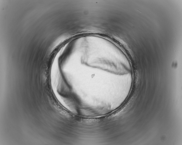 X0000091561163200709141530