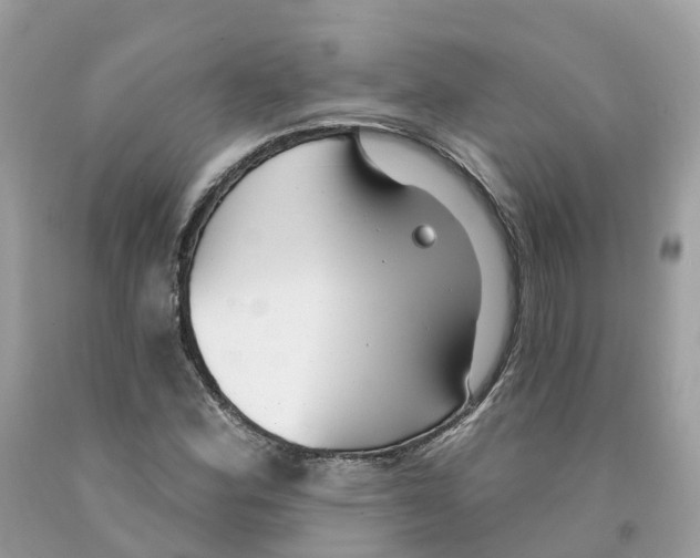 X0000091561164200709141530