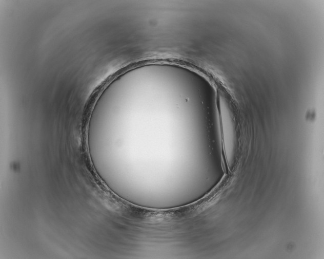 X0000091561165200709141530