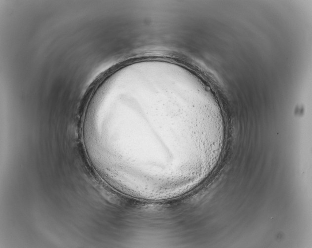 X0000091561166200709141530