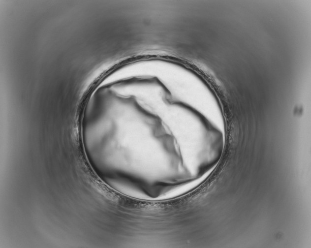 X0000091561167200709141530