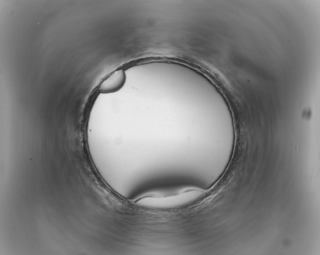 X0000091561168200709141530