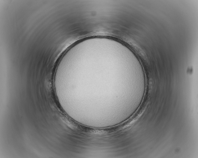 X0000091561170200709141530