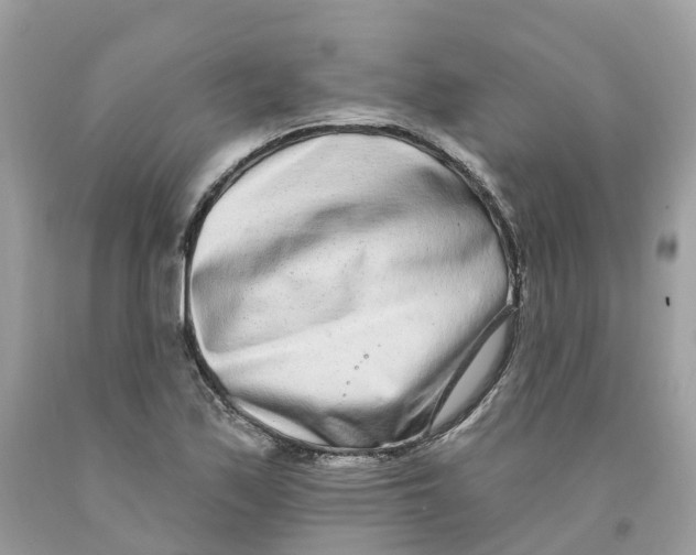 X0000091561171200709141530