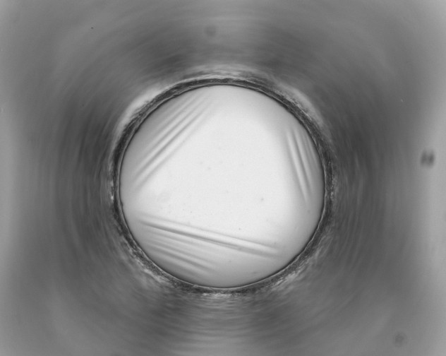 X0000091561172200709141530