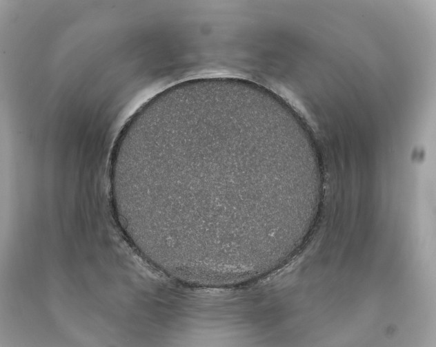 X0000091561173200709141530