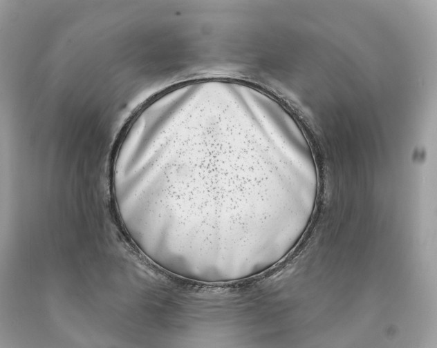 X0000091561174200709141530