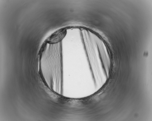 X0000091561175200709141530