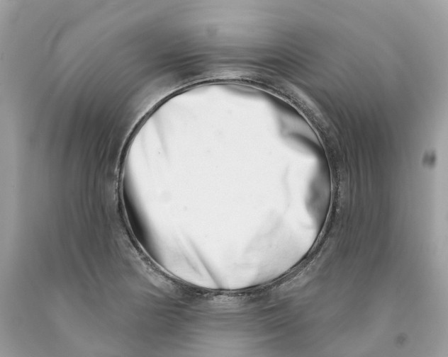 X0000091561178200709141530