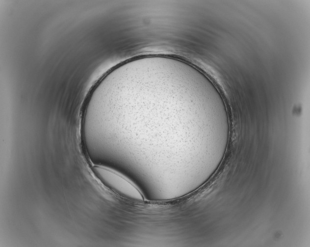 X0000091561179200709141530