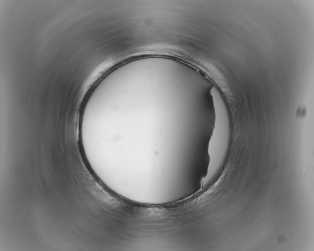 X0000091561180200709141530