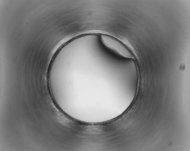 X0000091561181200709141530