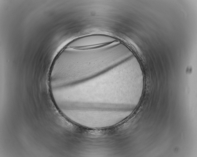 X0000091561182200709141530