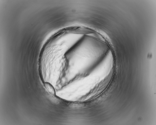 X0000091561183200709141530