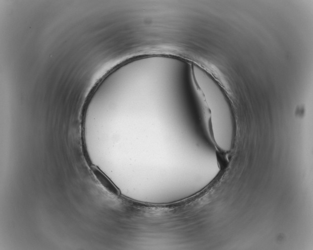 X0000091561184200709141530