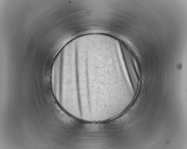 X0000091561185200709141530