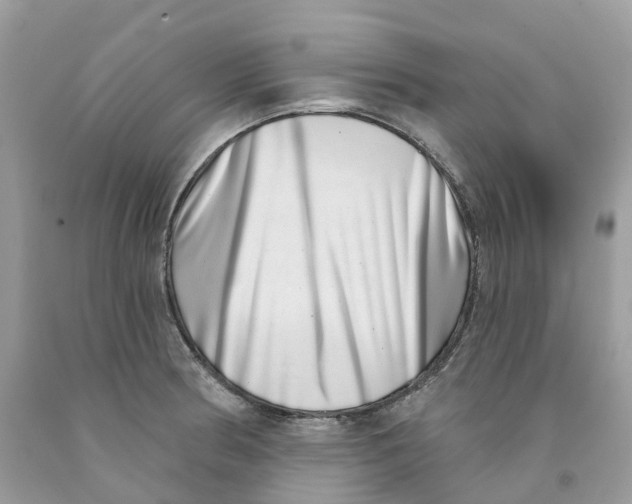 X0000091561186200709141530