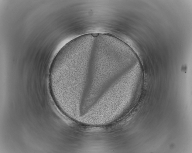 X0000091561187200709141530