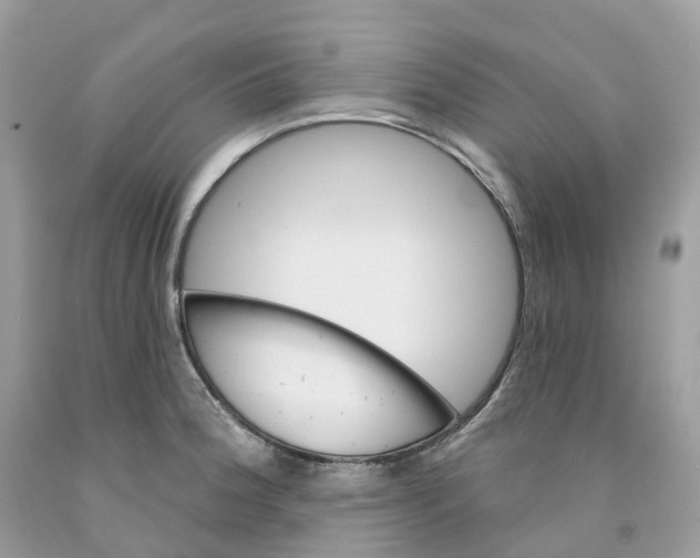 X0000091561188200709141530