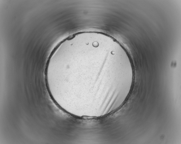 X0000091561189200709141530