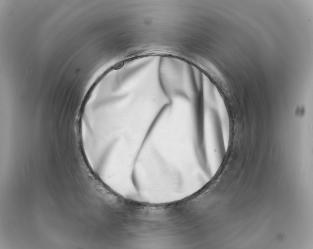 X0000091561190200709141530