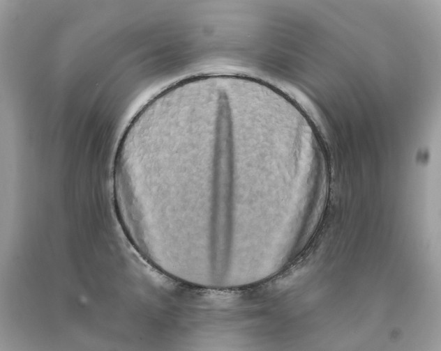 X0000091561191200709141530