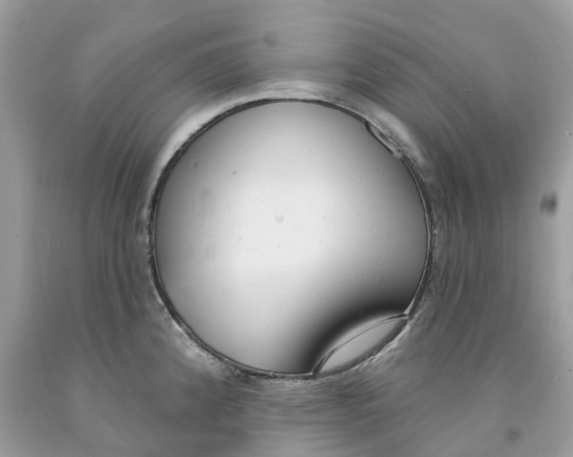 X0000091561192200709141529