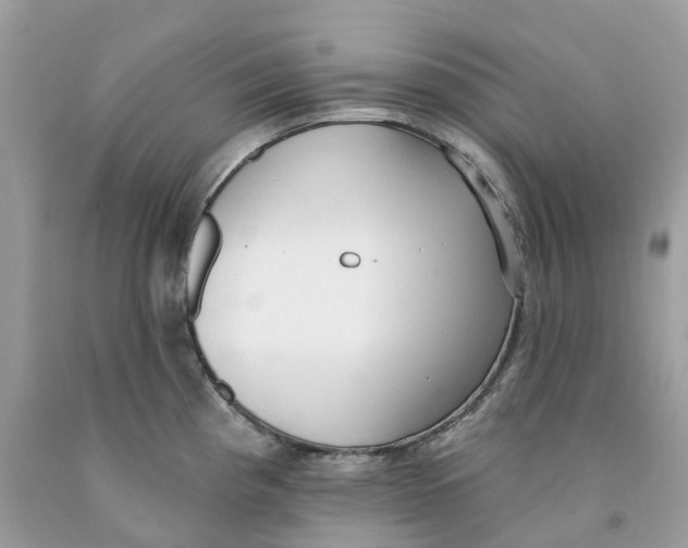 X0000091561193200709141529