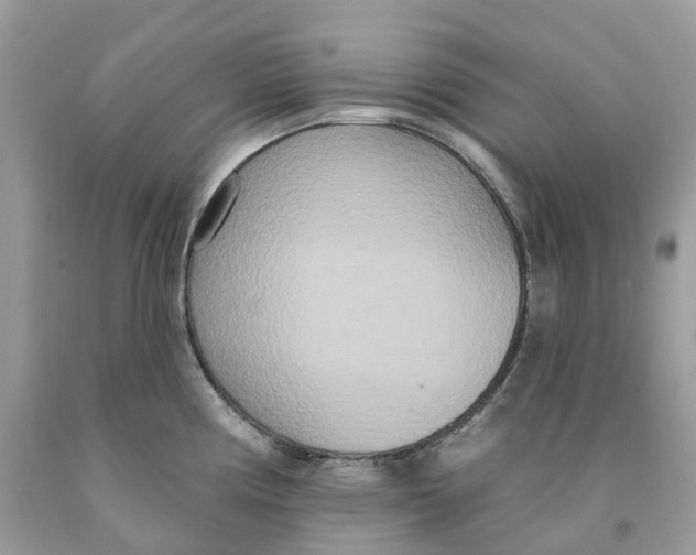 X0000091561194200709141529