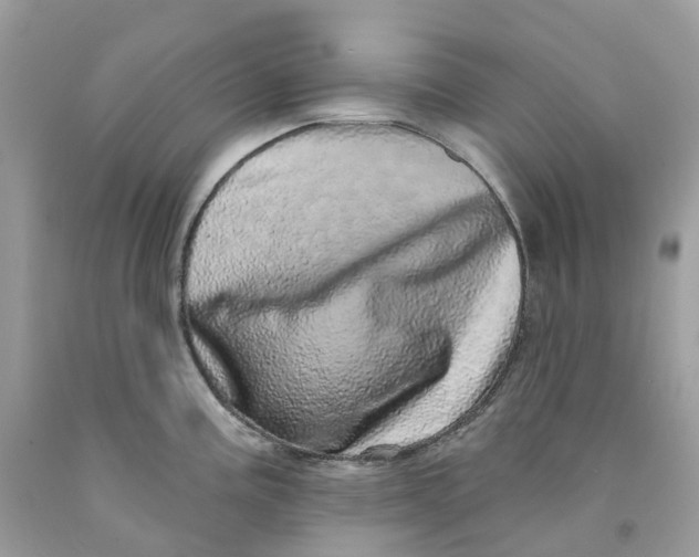 X0000091561195200709141529