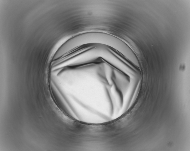 X0000091561196200709141529