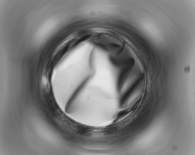 X0000091561198200709141529