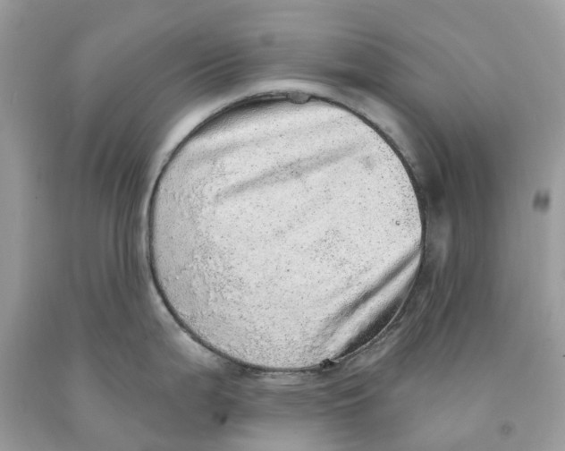 X0000091561199200709141529