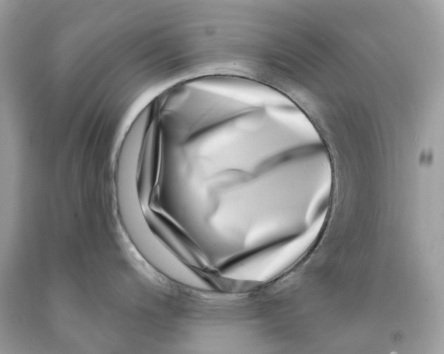 X0000091561200200709141529