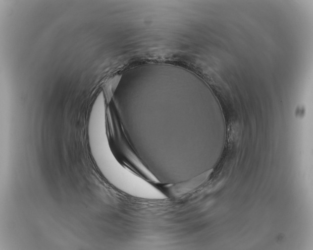 X0000091561202200709141529