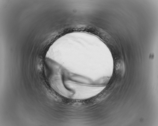 X0000091561204200709141529