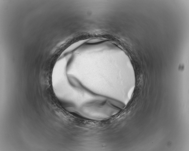 X0000091561205200709141529