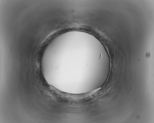 X0000091561206200709141529