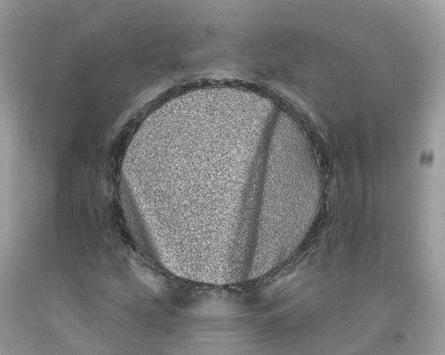 X0000091561207200709141529