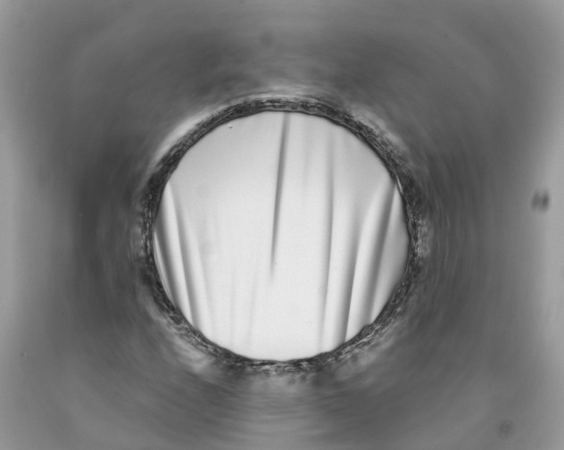 X0000091561208200709141529